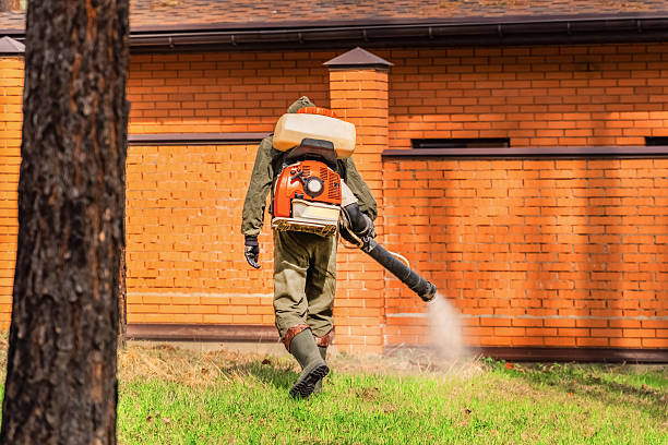 Trusted Rodent Control service in Tigard, OR - Nex Pest Control